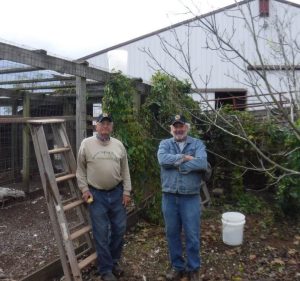 Dr. Ediger and Tom Barse stand in front of the hop plant located on Green Spring Farm. The hop plant is climbing a fence and chicken coop in front of a barn.